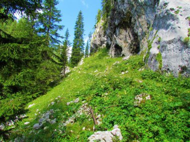 Triglav ulusal parkında Planina Jezoro 'nun üzerinde dik bir yamaç kaplayan çayır ve Slovenya' nın Julian Alps kentinde sağ tarafında bir kaya duvarı bulunuyor.