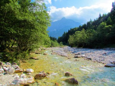 Kranjska gora yakınlarındaki Krnica vadisinde Krnica nehri, Triglav ulusal parkında Slovenya ve Slovenya 'nın Gorenjska bölgesinde kayalık bir kıyı ve söğüt ağaçlarıyla Julian alp yapıyor.