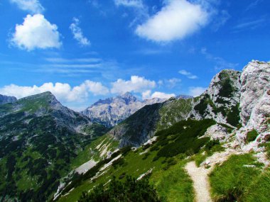 Triglav Ulusal Parkı 'ndaki Triglav Dağı ve Slovenya' nın Gorenjska bölgesindeki Julian Alpleri 'nin Visevnik' in tepesinden manzarası çayırlarla ve önünde sürünen çam ağaçlarıyla kaplı.