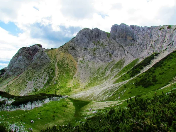 Prado Montanha Acima Pokljuka Gorenjska Eslovénia Parque Nacional Triglav Julian — Fotografia de Stock