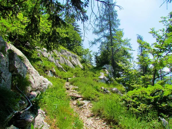 Ορεινή Διαδρομή Στο Εθνικό Πάρκο Triglav Και Julian Alps Στη — Φωτογραφία Αρχείου