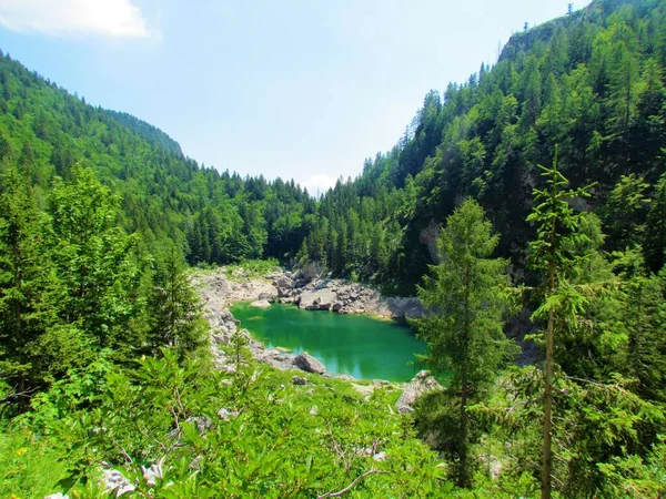 Scénický Pohled Černé Jezero Komarku Nebo Crno Jezero Údolí Triglavských — Stock fotografie