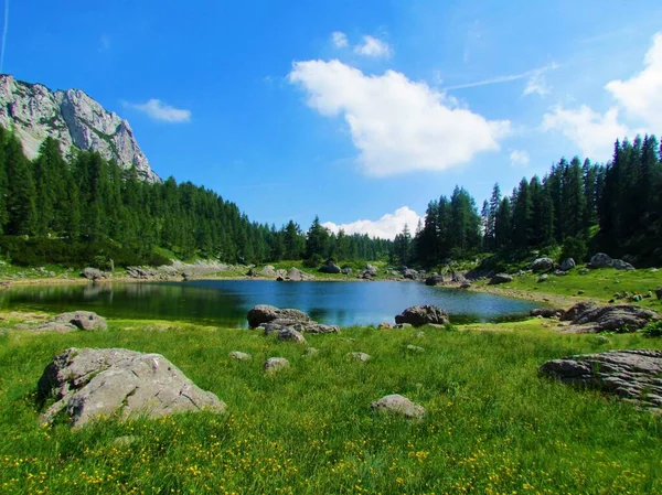 Dupla Hét Völgyében Triglav Nemzeti Park Julian Alpok Szlovénia Erdő — Stock Fotó