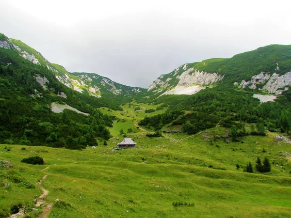 Slovenya Nın Gorenjska Bölgesindeki Kamnik Savinja Alpleri Için Tipik Bir — Stok fotoğraf