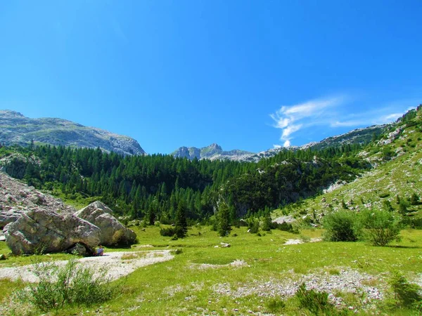 Pohled Vrchol Krnu Příkrým Skalnatým Svahem Vpředu Pokrytým Modřínovým Lesem — Stock fotografie