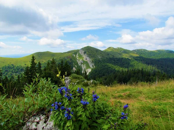 Vista Cordillera Ratitovec Cubierta Pastos Que Elevan Por Encima Jelovica —  Fotos de Stock