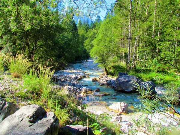 Řeka Krnica Údolí Krnica Kranjské Hory Triglavském Národním Parku Juliánské — Stock fotografie