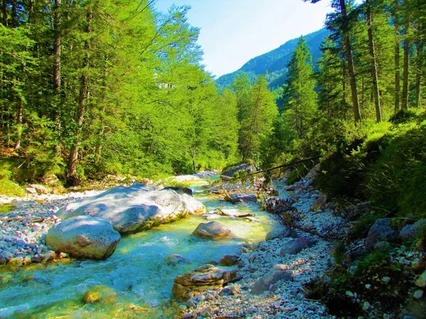 Kolorowa Rzeka Krnica Dolinie Krnicy Pobliżu Kranjskiej Góry Parku Narodowym — Zdjęcie stockowe