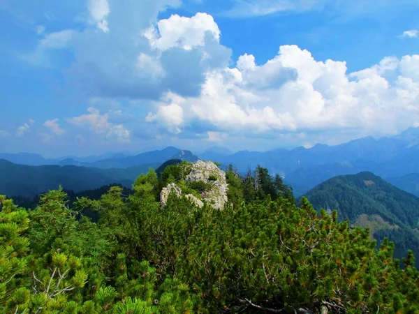 Cima Montaña Montaña Stegovnik Las Montañas Karavanke Región Gorenjska Eslovenia —  Fotos de Stock
