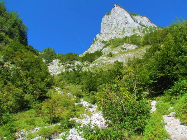 View Sharp Looking Peak Dolkova Spica Mountain Vrata Triglav National — Stock Photo, Image