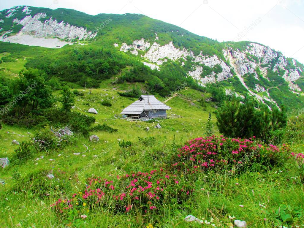 Cabaña de madera tradicional típica de los Alpes Kamniksavinja en la