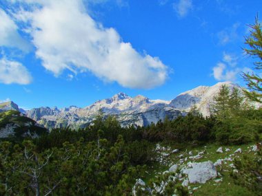 Triglav Dağı 'nın manzarası ve Triglav Ulusal Parkı' ndaki Krma Vadisi ve Julian Alpleri, Gorenjska, Slovenya ve önünde bir dağ çayırı