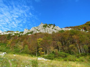 Slovenya 'nın sonbaharda Slovenya' nın Karavanke dağlarındaki Zelenica yolunda Ljubelj 'in yukarısındaki bir dağın manzarası