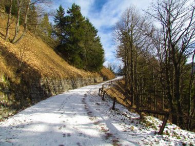 Slovenya 'daki Ljubelj geçidine giden yol ince kar tabakası ve bir tarafı kuru çimlerle kaplı dik yamaçla diğer tarafı da ahşap çitle kaplı.