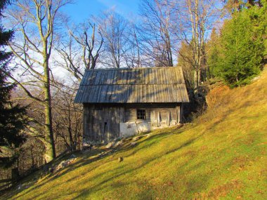 Kışın kayın ormanının kıyısında eski püskü ahşap bir kulübe ve Slovenya 'daki Karavanke dağlarının önünde parlak güneşli bir çayır.