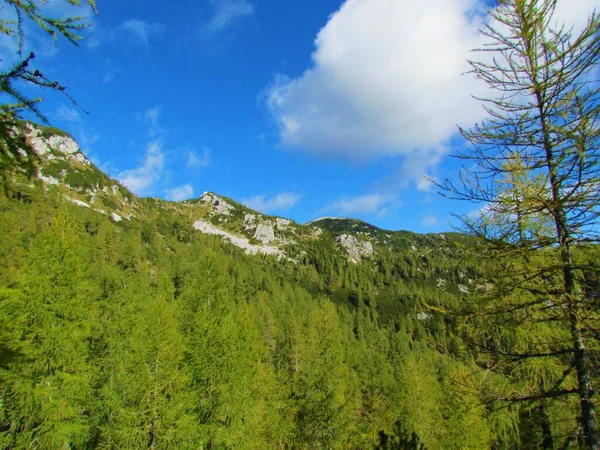 Berg Oberhalb Von Lipanca Triglav Nationalpark Und Julischen Alpen Gorenjska — Stockfoto