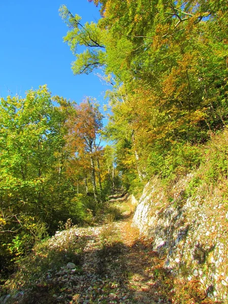 Large Sentier Creusé Sur Une Pente Raide Sous Sveti Jakob — Photo