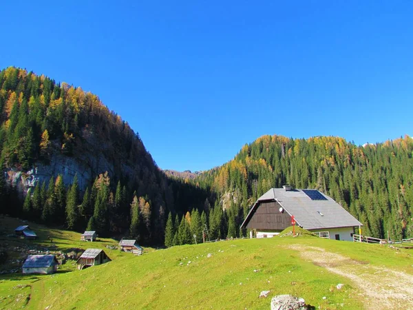 Prato Alpino Planina Jezero Con Grande Rifugio Montagna Case Pastori — Foto Stock