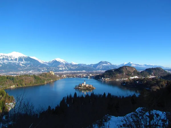 Landschappelijk Uitzicht Bled Meer Een Beroemde Toeristische Bestemming Gorenjska Regio — Stockfoto