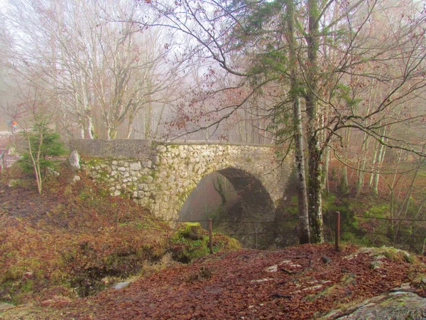Die Bogenbrücke Hudicev Most Bei Korita Mostnice Der Nähe Von — Stockfoto