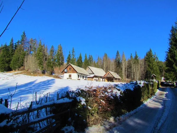 Agriturismo Uskovnica Pascolo Con Prato Coperto Neve Una Siepe Fronte — Foto Stock