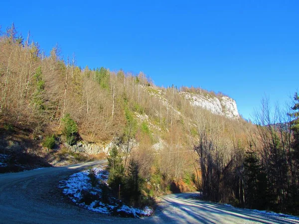 Die Schotterstraße Richtung Uskovnica Führt Einem Hang Vorbei Der Von — Stockfoto