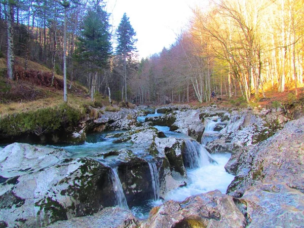 Creek Mostnica Gorge Mostnica Korita Mostnice Près Bohinj Dans Région — Photo