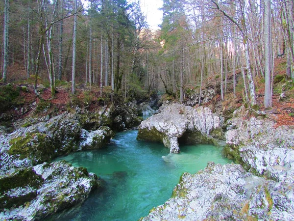 Creek Mostnica Mostnica Gorge Korita Mostnice Vicino Bohinj Nella Regione — Foto Stock