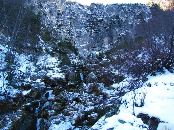 Skalistý Potok Pod Pramenem Nadiza Údolí Tamar Juliánských Alpách Slovinsku — Stock fotografie