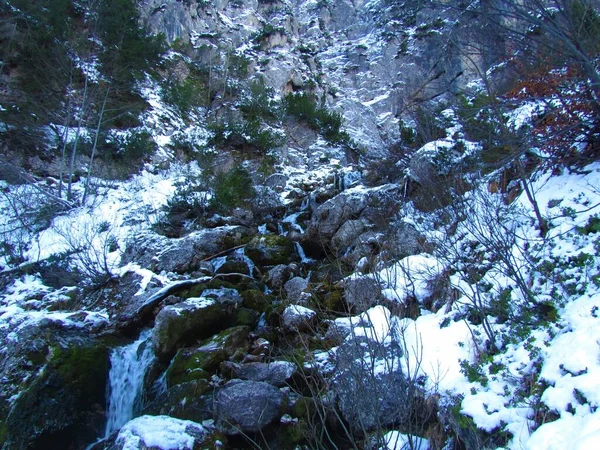 Rocky Sungai Bellow Yang Nadiza Musim Semi Tamar Lembah Julian — Stok Foto