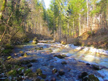 Kamniska Bistrica nehri Kamnik-Savinja Alpleri, Slovenya güneşli bir günde