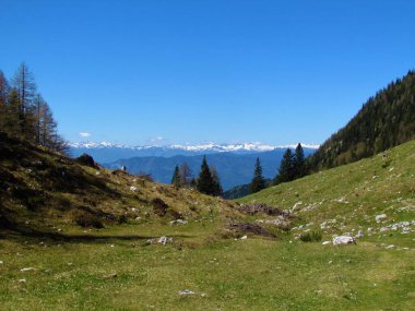 Slovenya 'nın Gorenjska bölgesindeki Julian Alpleri' nin karla kaplı zirveleri ve önünde bir çayır ve ağaçlar görülüyor
