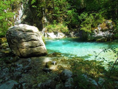 Güneşli bir günde Slovenya 'nın Kamniska Bistrica nehrinde turkuaz yeşili renkli gölet