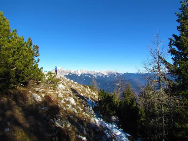 Kofce上方山脉的景观 在Karavanke山脉的Veliki Vrh和Kladivo 从Dobrca出发的Gorenjska Slovenia 人或登山者站在山顶 — 图库照片