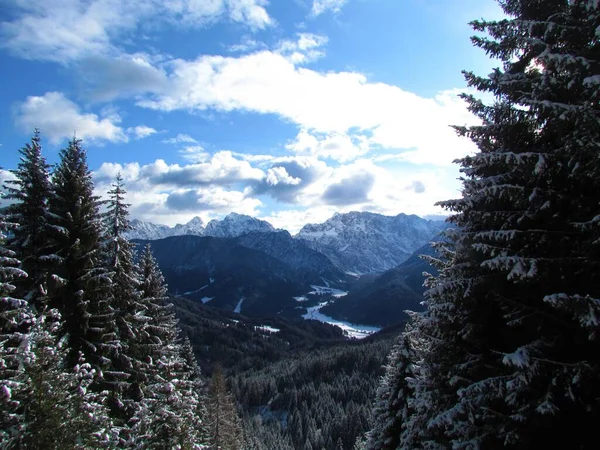 スロベニアのGrenjska地域のJulian AlpsとTrirav国立公園の上にそびえるPlanicaとTamar渓谷と山の景色 — ストック写真