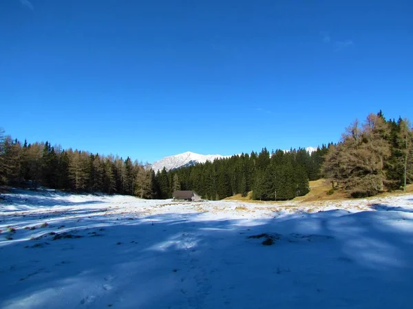 冬の雪景色は 針葉樹林に囲まれたスロベニアのGrenjska地域のKaravanke山のKonjscicaで覆われた山の牧草地 — ストック写真