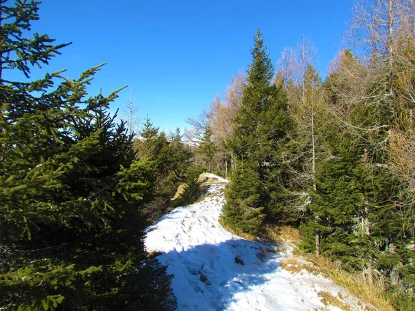 Slovenya Bela Tepesi Nin Zirvesi Kışın Karla Kaplı Bir Yolu — Stok fotoğraf