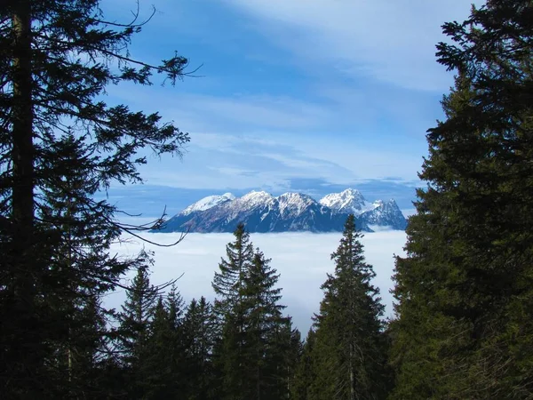 Zimní Pohled Hory Begunjscica Pohoří Karavanke Oblasti Gorenjska Slovinsku Rámované — Stock fotografie