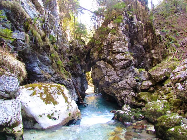 Colorido Río Verde Kamniska Bistrica Los Alpes Kamnik Savinja Eslovenia — Foto de Stock