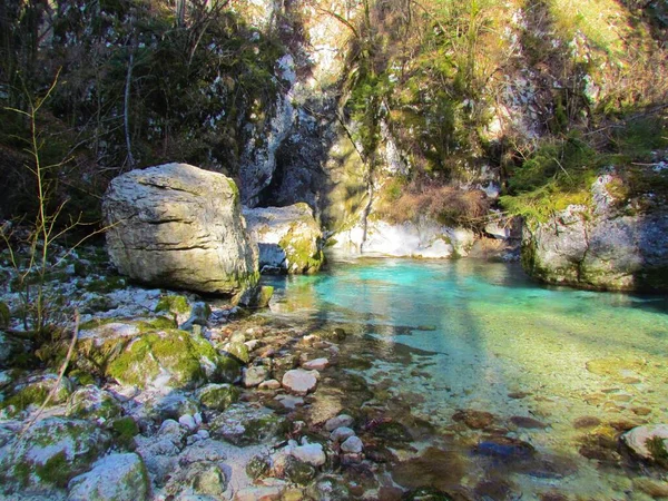 斯洛文尼亚Kamnik Savinja阿尔卑斯省Predaselj峡谷阳光照射下的五彩缤纷的绿色Kamniska Bistrica河 — 图库照片
