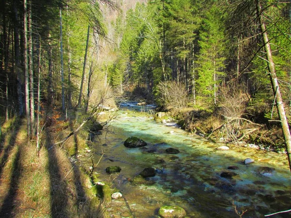 Barevná Řeka Kamniska Bistrica Kamnicko Savinjských Alpách Slovinsko Slunečného Dne — Stock fotografie