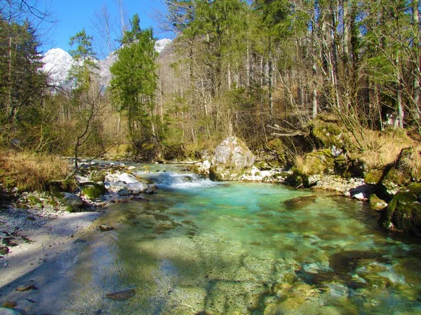 Colorful Kamniska Bistrica River Kamnik Savinja Alps Slovenia Sunny Day — Stockfoto