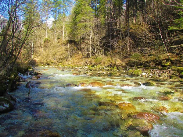 Río Kamniska Bistrica Los Alpes Kamnik Savinja Eslovenia Día Soleado — Foto de Stock