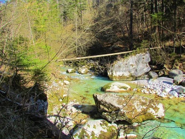Rio Kamniska Bistrica Kamnik Savinja Alpes Eslovênia Dia Ensolarado Cercado — Fotografia de Stock