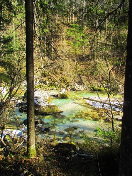 Kamniska Bistrica River Kamnik Savinja Alps Σλοβενία Μια Ηλιόλουστη Μέρα — Φωτογραφία Αρχείου