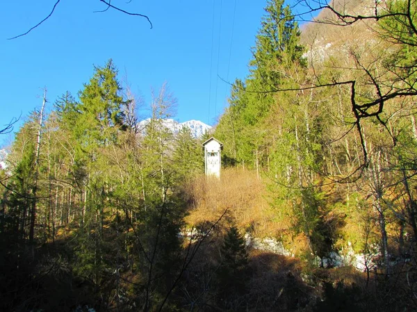 Башня Электрической Подстанции Стоящая Естественной Среде Вершине Склона Окружении Леса — стоковое фото