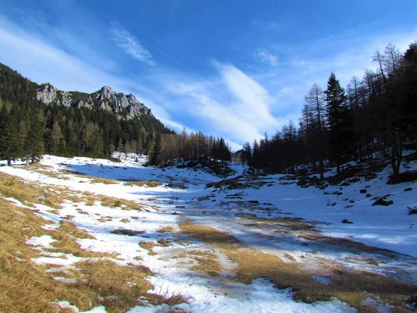 スロベニアのカラバンケ山の森に囲まれたゼレニカの雪に覆われた牧草地の冬の景色 — ストック写真