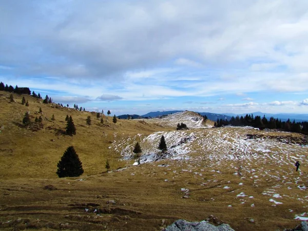 冬にスロベニアのビッグ ペチュア高原またはヴェリカ プラニーナの牧草地 — ストック写真