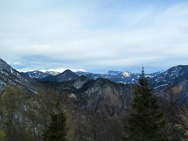 Pohled Les Pokrytý Kopcem Karavanech Vrcholu Javorjeva Vrha Gorenjské Slovinsko — Stock fotografie