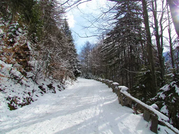雪に覆われた道路の冬の景色はスロベニアのLjubelj峠につながり 片側には森に囲まれた石の柵があります — ストック写真